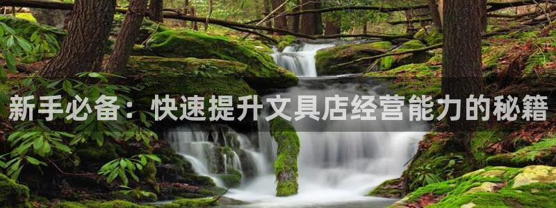 龙八国际app：新手必备：快速提升文具店