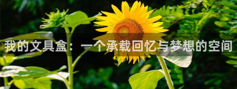 龙八国际网q18点tv：我的文具盒：一个