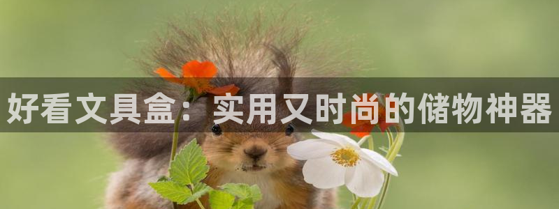 龙八国际l8520：好看文具盒：实用又时