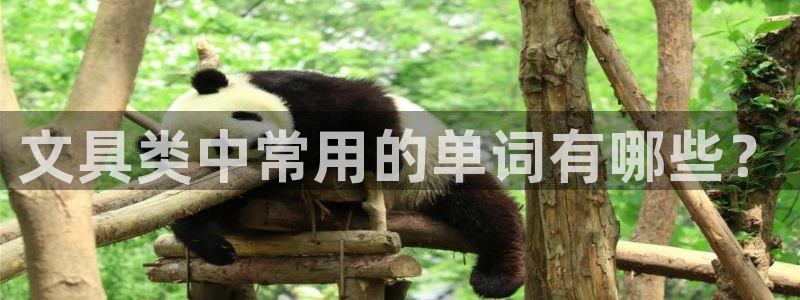 龙八国际首页：文具类中常用的单词有哪些？