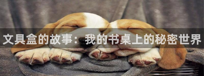 龙八国际在线登录：文具盒的故事：我的书桌