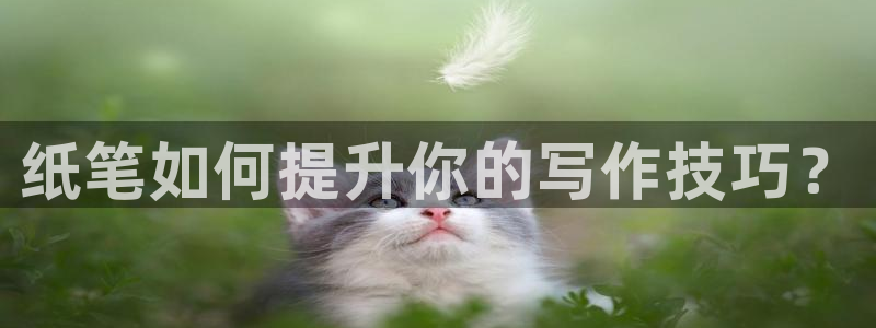 龙八国际手机版下载平台：纸笔如何提升你的