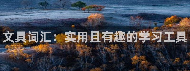 下载龙八国际手机版安装：文具词汇：实用且