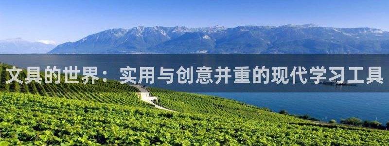龙八国际股票：文具的世界：实用与创意并重