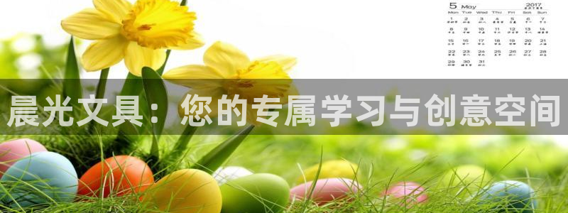 龙八国际平台手机版：晨光文具：您的专属学
