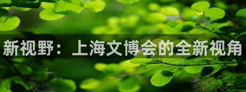 龙八国际优惠券：新视野：上海文博会的全新