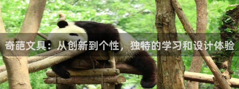 下载龙八国际手机版：奇葩文具：从创新到个