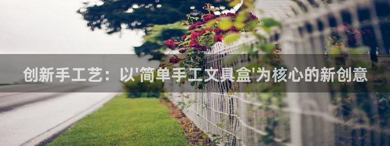 龙八国际娱乐网站多少：创新手工艺：以\'