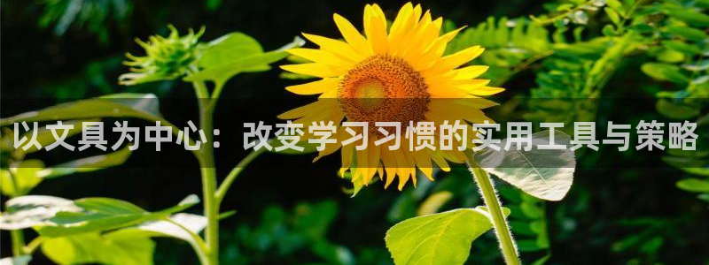 龙八国际 官网：以文具为中心：改变学习习