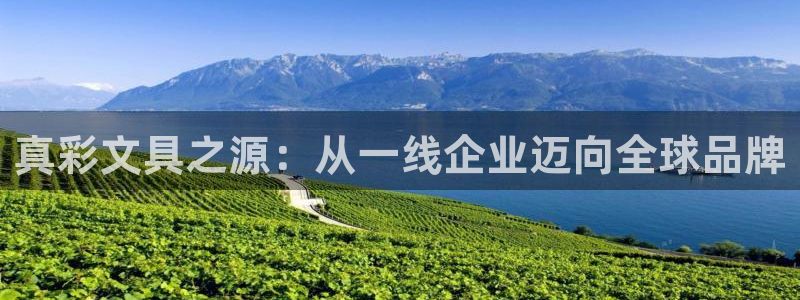 菲律宾龙八国际杀猪：真彩文具之源：从一线
