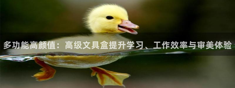 龙八国际平台手机版下载：多功能高颜值：高