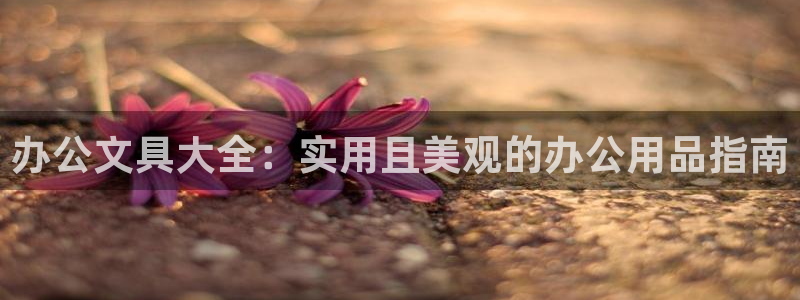 龙八国际不支持苹果手机：办公文具大全：实