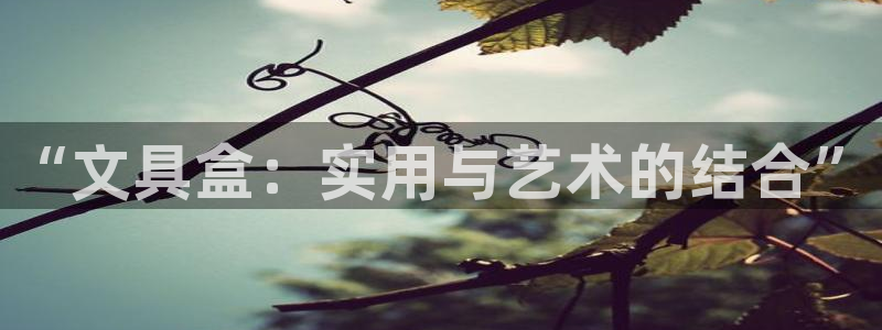 龙八国际是个什么游戏：“文具盒：实用与艺