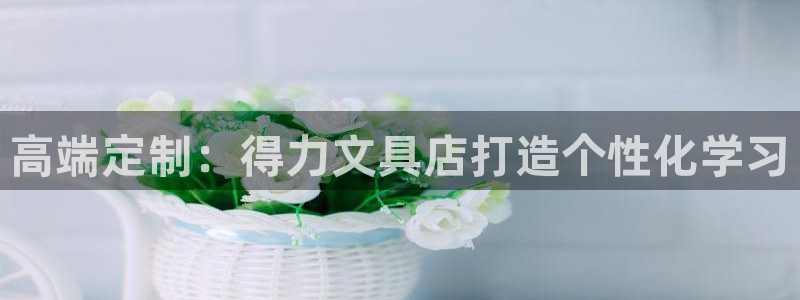 龙八国际代理app：高端定制：得力文具店