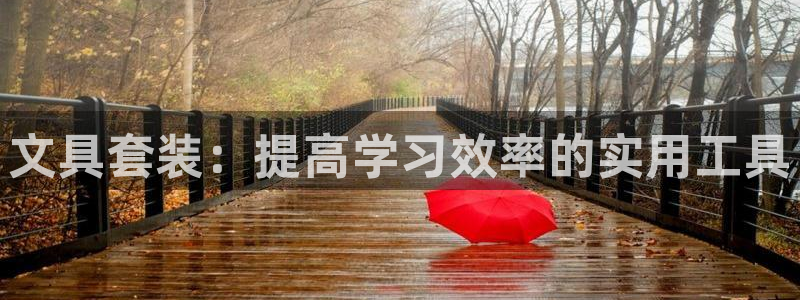 龙八国际app鄂州：文具套装：提高学习效