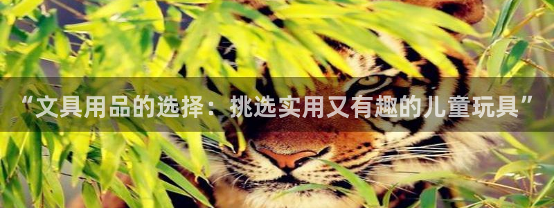 龙八国际棋牌：“文具用品的选择：挑选实用