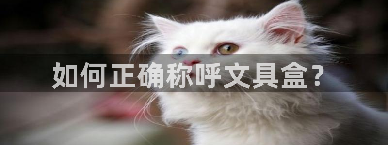 龙八国际网站手机版：如何正确称呼文具盒？