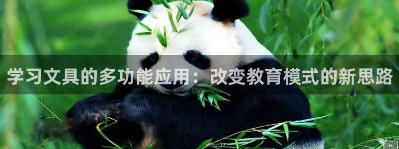 龙八国际赌场：学习文具的多功能应用：改变