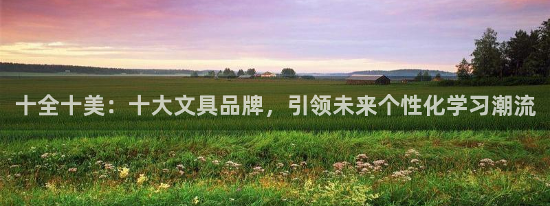 龙八国际登：十全十美：十大文具品牌，引领