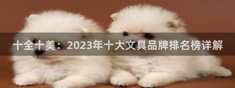 龙八国际官方网站pt：十全十美：2023