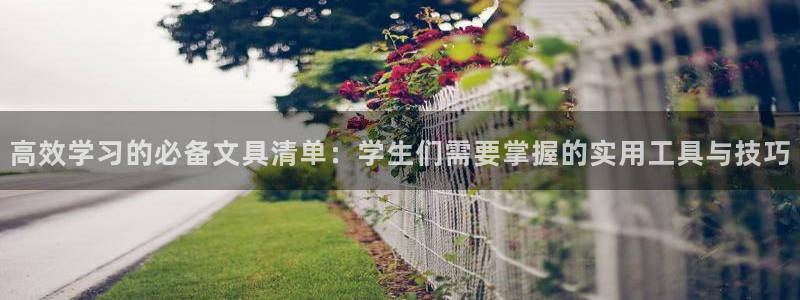 龙八国际app联系方式：高效学习的必备文