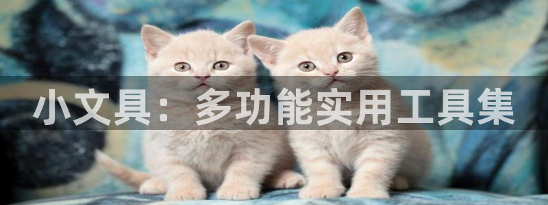 龙八国际手机版官方版app下载：小文具：