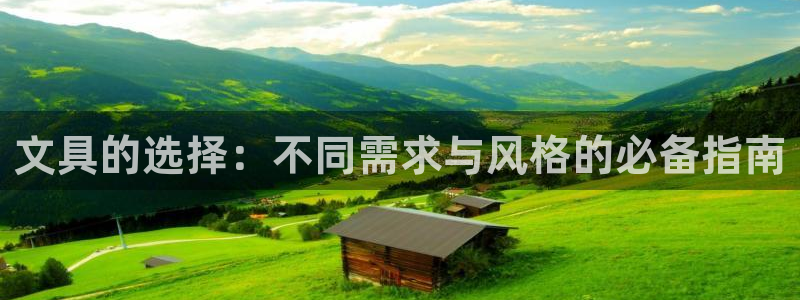 龙八国际跑路了吗：文具的选择：不同需求与