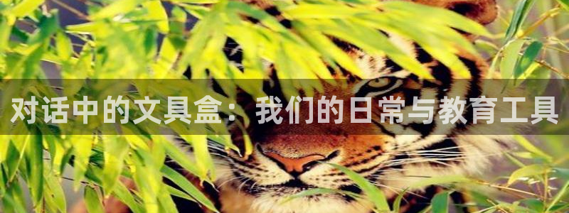 龙八国际头号玩家：对话中的文具盒：我们的