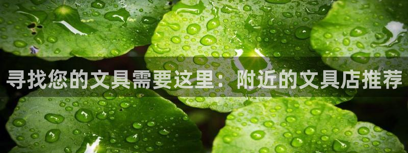 龙八国际登入：寻找您的文具需要这里：附近