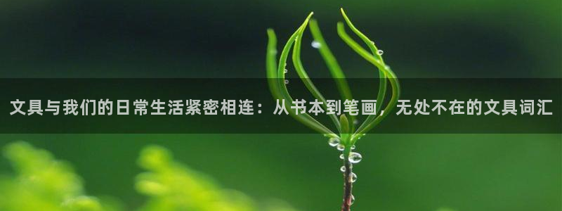 龙八国际输死人：文具与我们的日常生活紧密