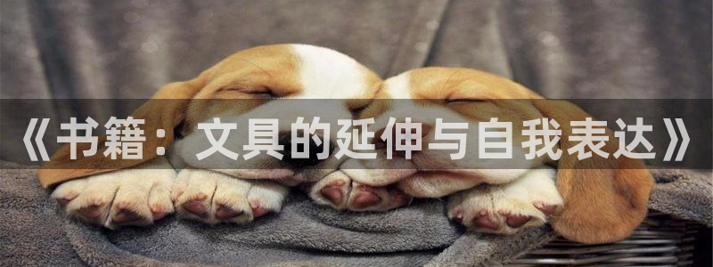 龙八国际手机版：《书籍：文具的延伸与自我