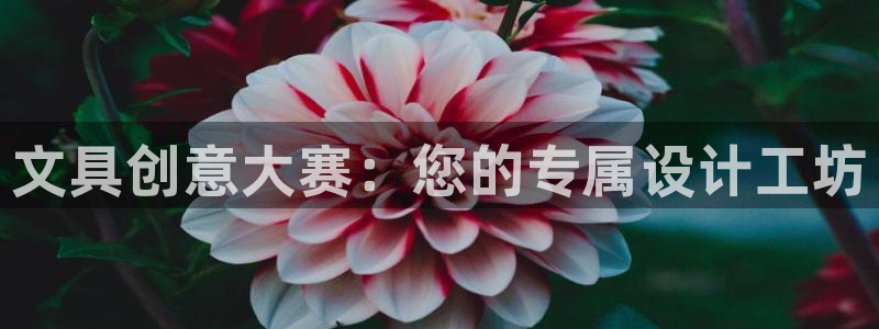 下载龙八国际官网：文具创意大赛：您的专属