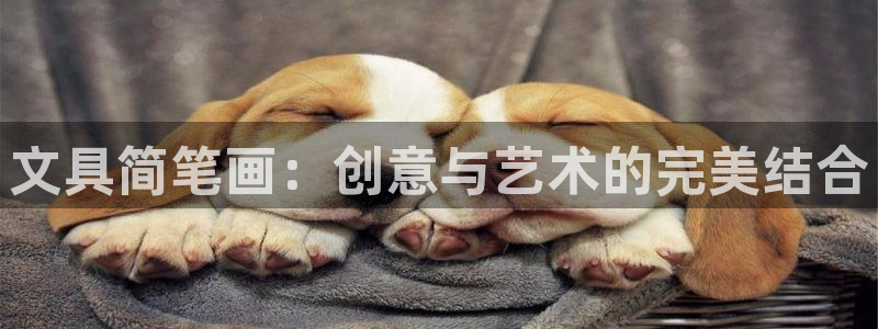 龙八国际兑换码：文具简笔画：创意与艺术的