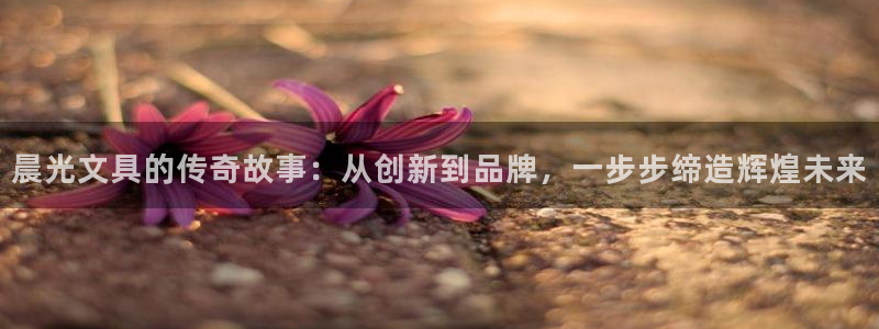 龙八国际可以京东充值吗：晨光文具的传奇故