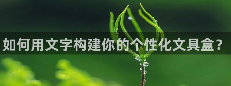 龙八国际官网手机端：如何用文字构建你的个