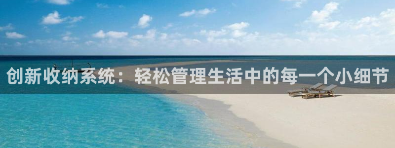 龙八国际客户端pt：创新收纳系统：轻松管