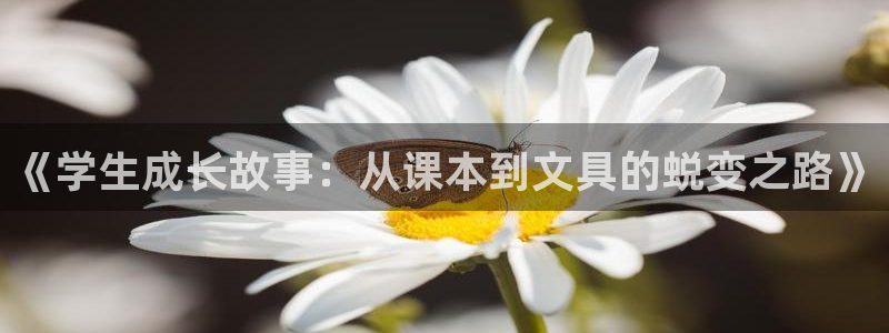 龙八国际城网站：《学生成长故事：从课本到