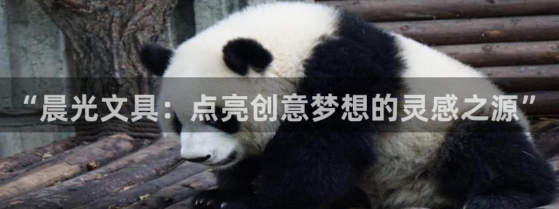 龙八国际服官网入口：“晨光文具：点亮创意