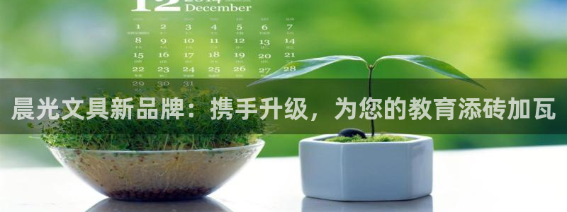 下载龙八国际手机端