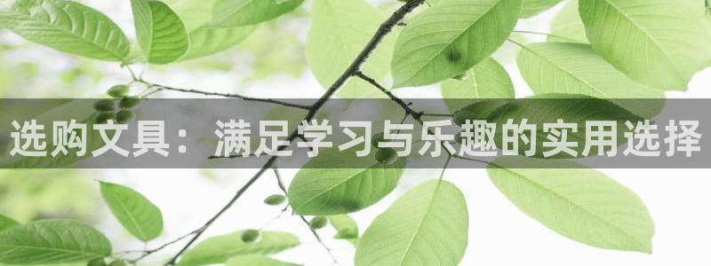 龙八国际app客户端下载不了：选购文具：