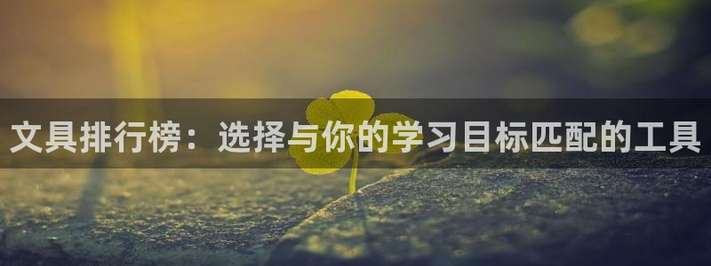 龙八国际游戏登录：文具排行榜：选择与你的