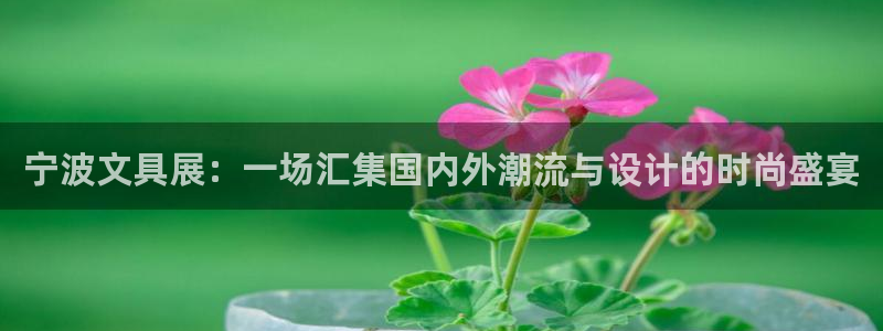 龙八国际娱乐官网app：宁波文具展：一场