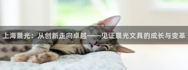 龙八国际官网下载安卓：上海晨光：从创新走