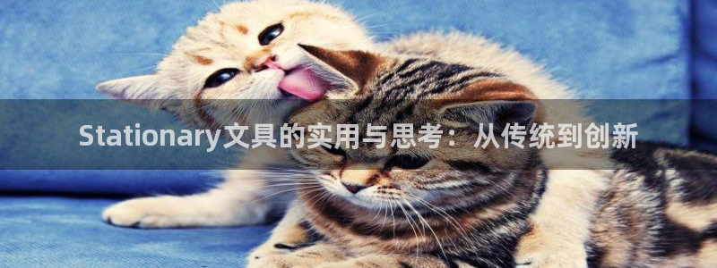 龙八国际手机在线登录：Stationar