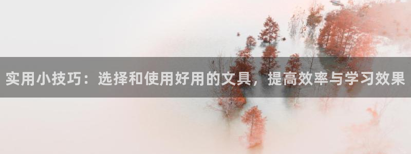 龙八国际官网首页网页版：实用小技巧：选择