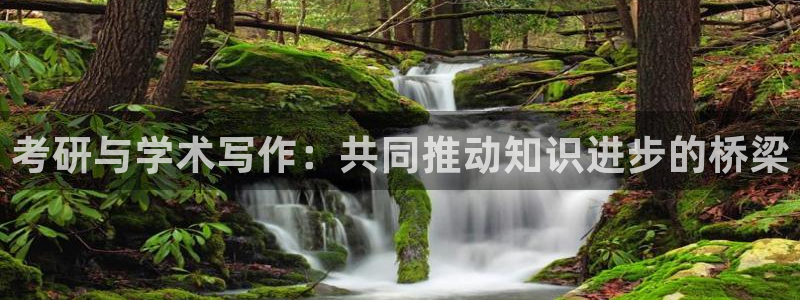 龙八国际头号玩家：考研与学术写作：共同推