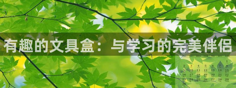 龙八国际发哥下载：有趣的文具盒：与学习的