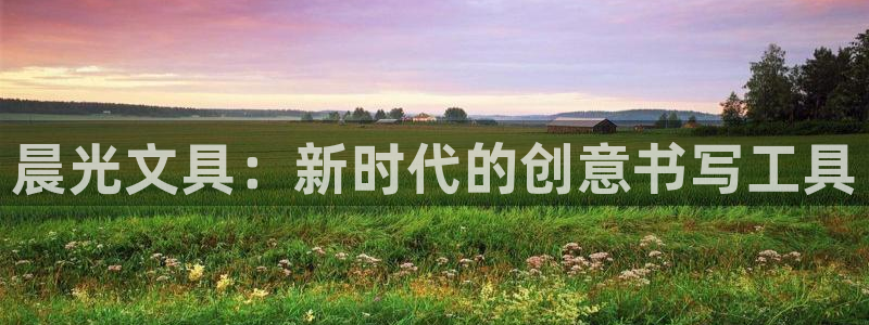 冯文戈 龙八国际集团：晨光文具：新时代的