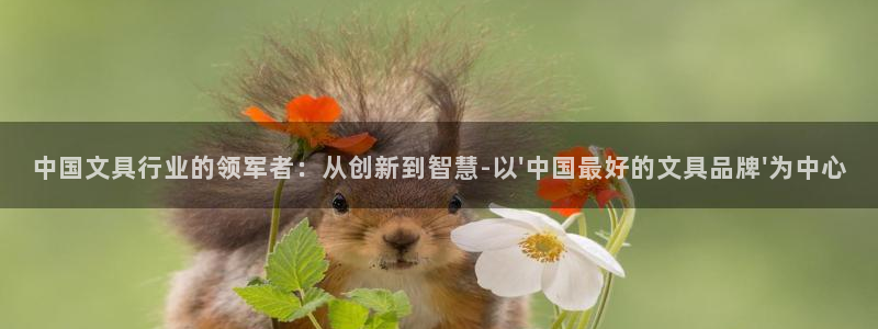 龙八国际平台手机版：中国文具行业的领军者