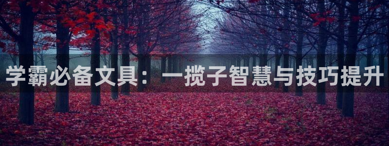 龙八国际游戏娱乐：学霸必备文具：一揽子智